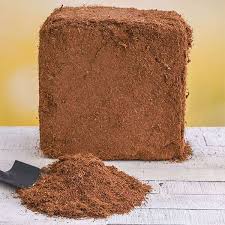 Cocopeat Blocks